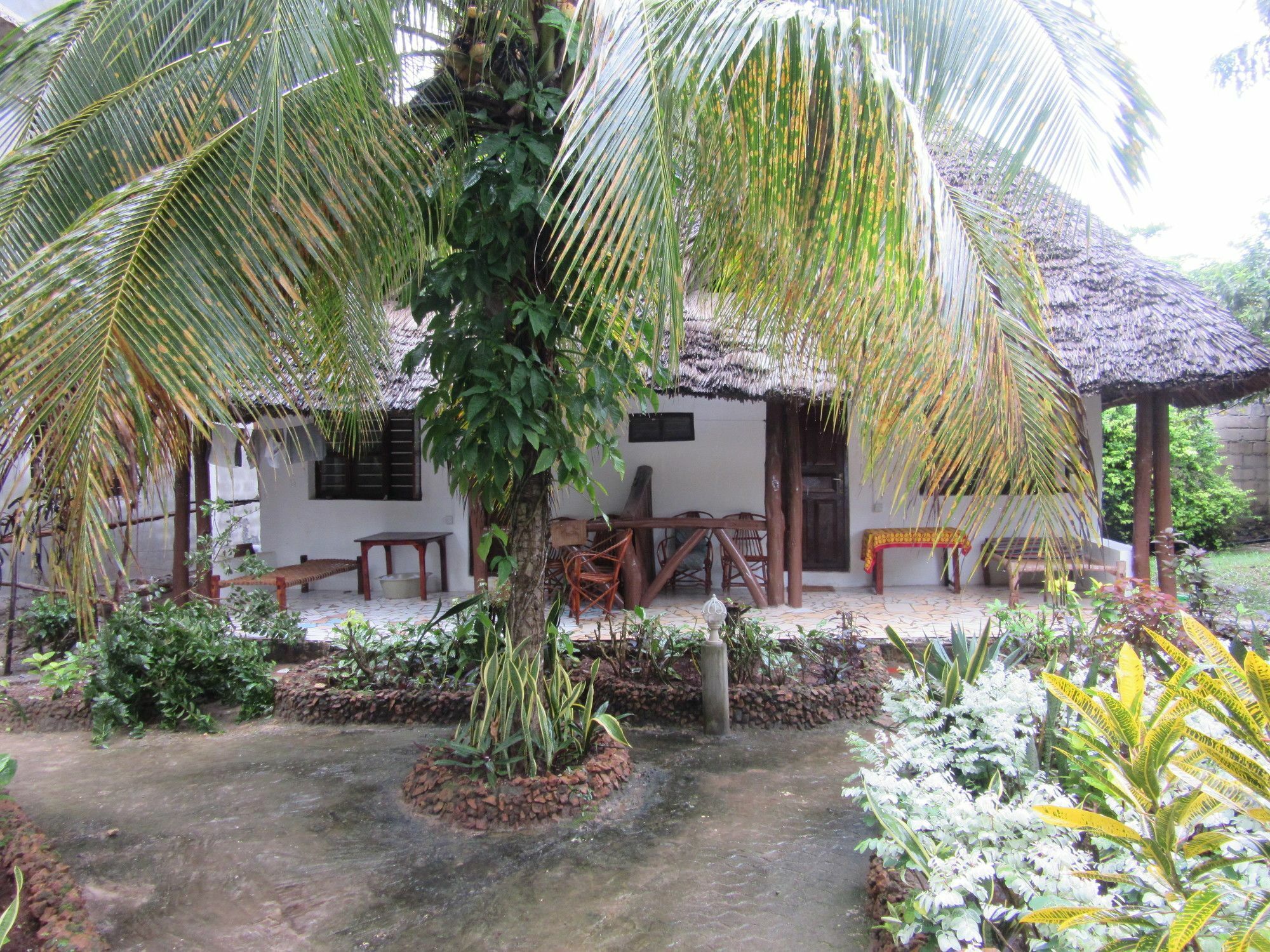 Baraka Beach Bungalows نونغوي المظهر الخارجي الصورة